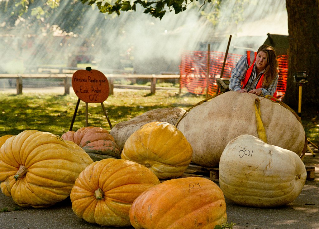 barber-pumpkin-fair-edit-04.jpg