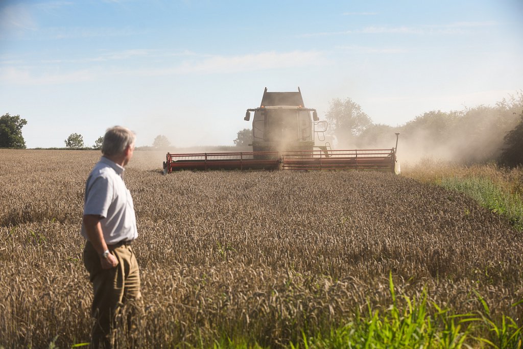 Eustin Farms Wheat Harvest