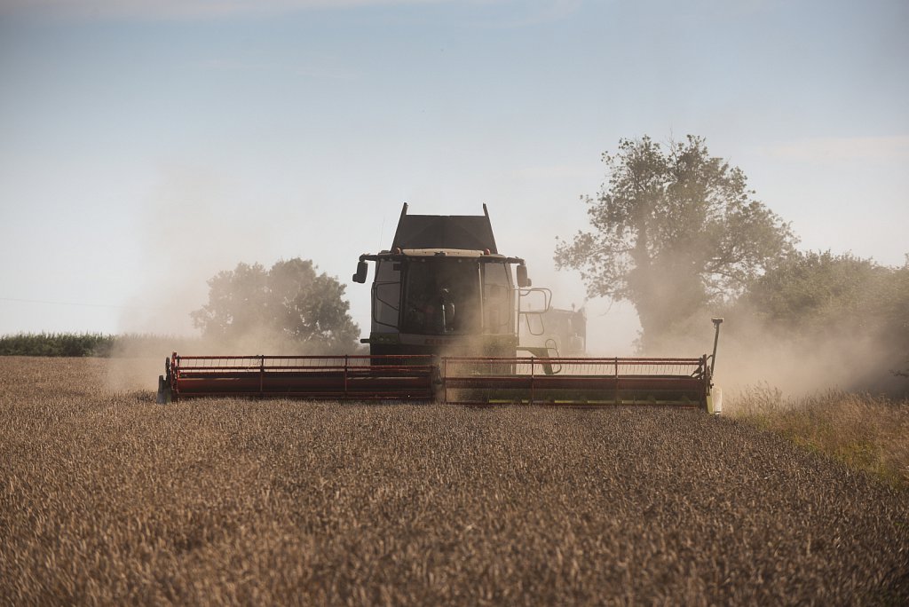 Eustin Farms Wheat Harvest