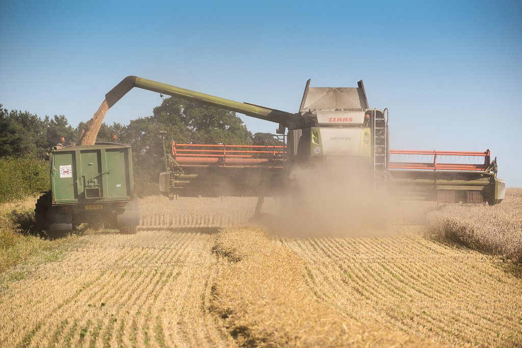 Eustin Farms Wheat Harvest